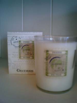 Geodesis Fig Candle